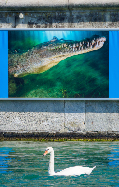 oye23_doku_ausstellung_jennifer_hayes_9102631