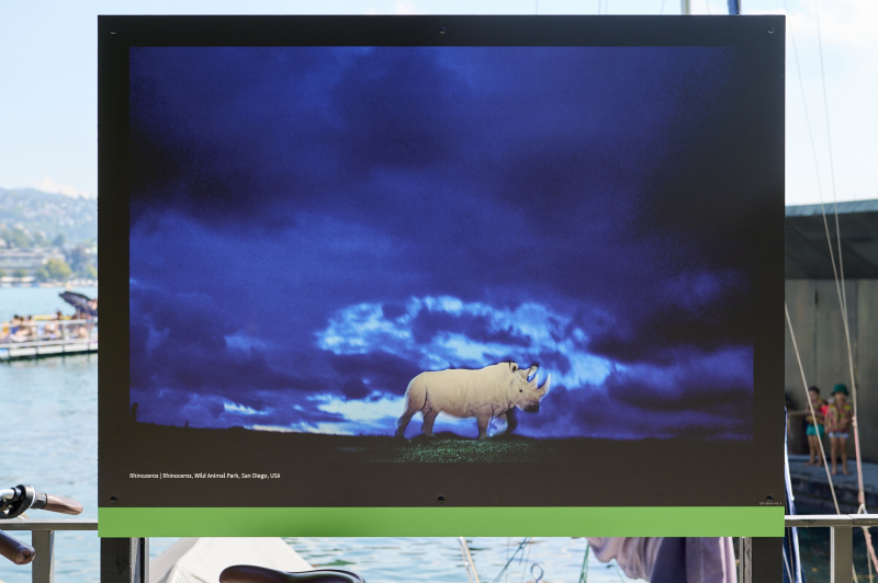 oye23_doku_ausstellung_michael_nichols_20230910_390-1