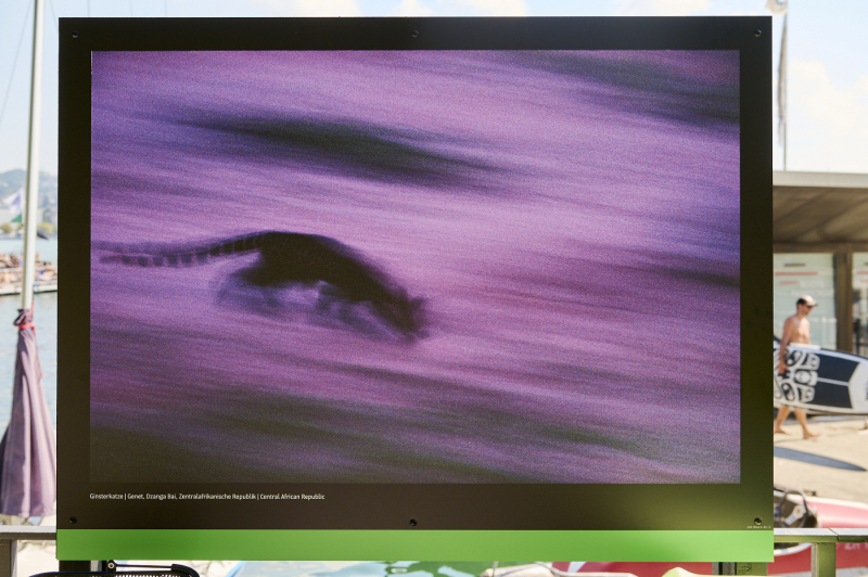 oye23_doku_ausstellung_michael_nichols_20230910_392