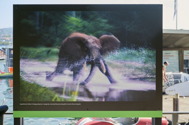 oye23_doku_ausstellung_michael_nichols_20230910_394