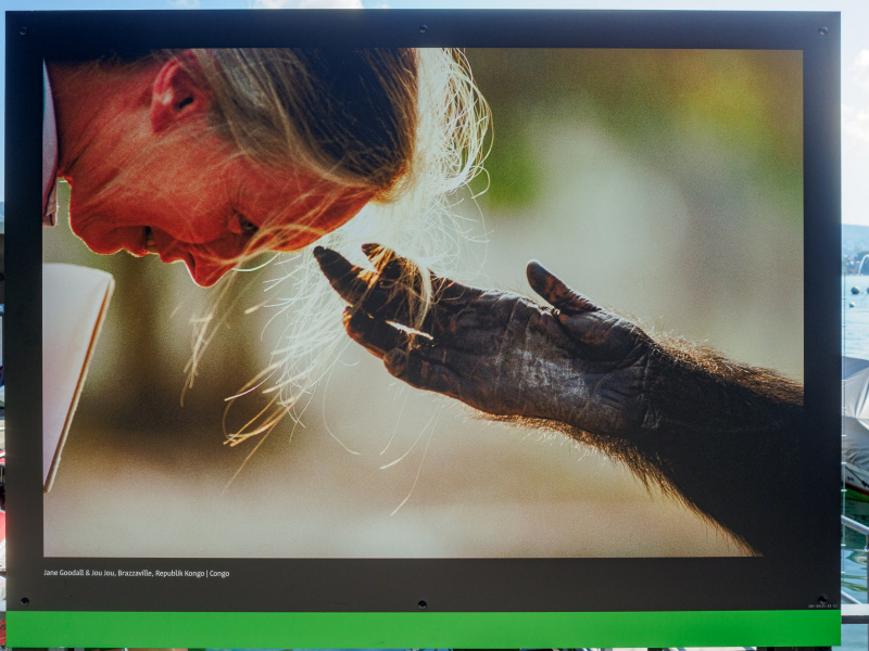 oye23_doku_ausstellung_michael_nichols_9102386