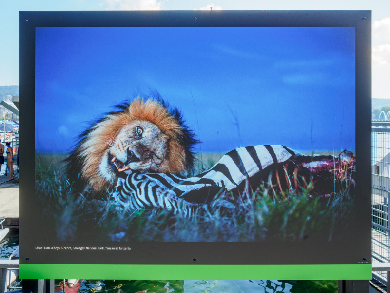 oye23_doku_ausstellung_michael_nichols_9102387