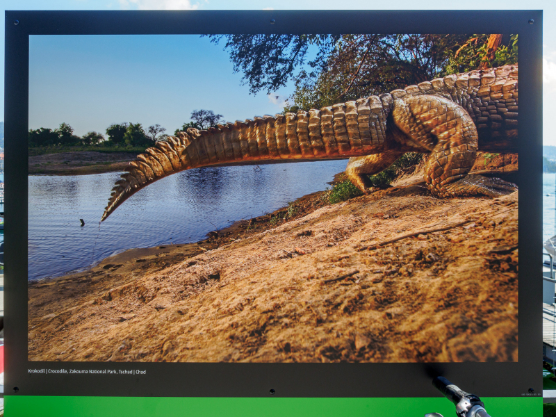 oye23_doku_ausstellung_michael_nichols_9102388