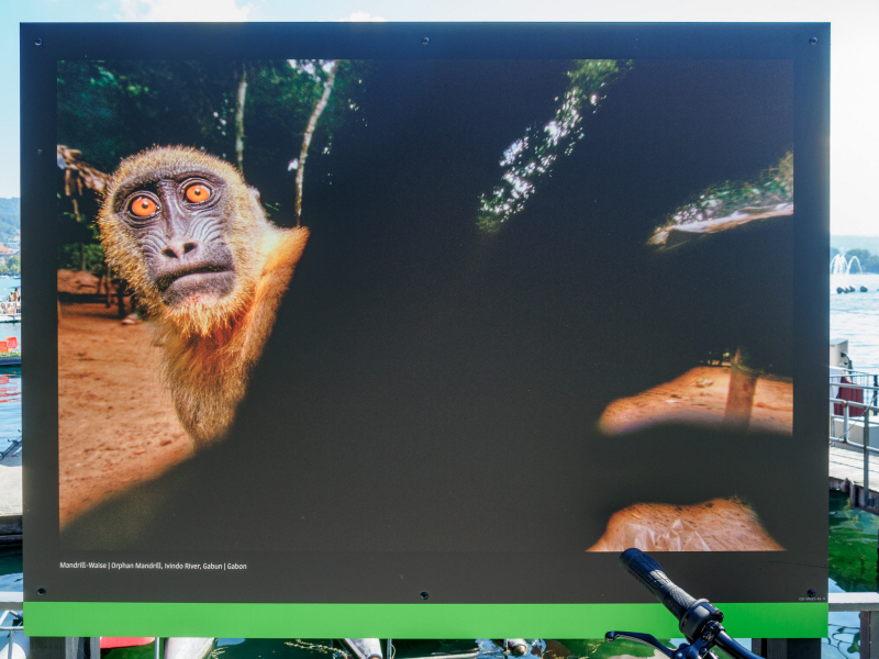 oye23_doku_ausstellung_michael_nichols_9102389