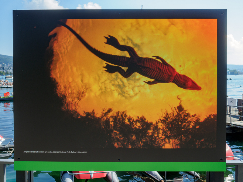 oye23_doku_ausstellung_michael_nichols_9102390