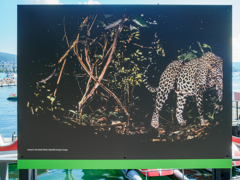 oye23_doku_ausstellung_michael_nichols_9102391