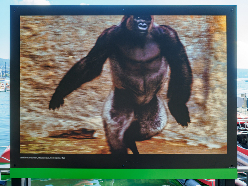 oye23_doku_ausstellung_michael_nichols_9102392