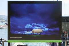 oye23_doku_ausstellung_michael_nichols_20230910_390-1 oye23_doku_ausstellung_michael_nichols_20230910_390-1