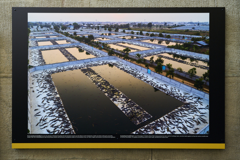 oye23_doku_ausstellung_george_steinmetz_20230910_092