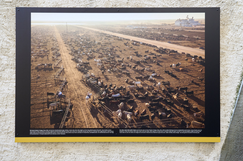 oye23_doku_ausstellung_george_steinmetz_20230910_096