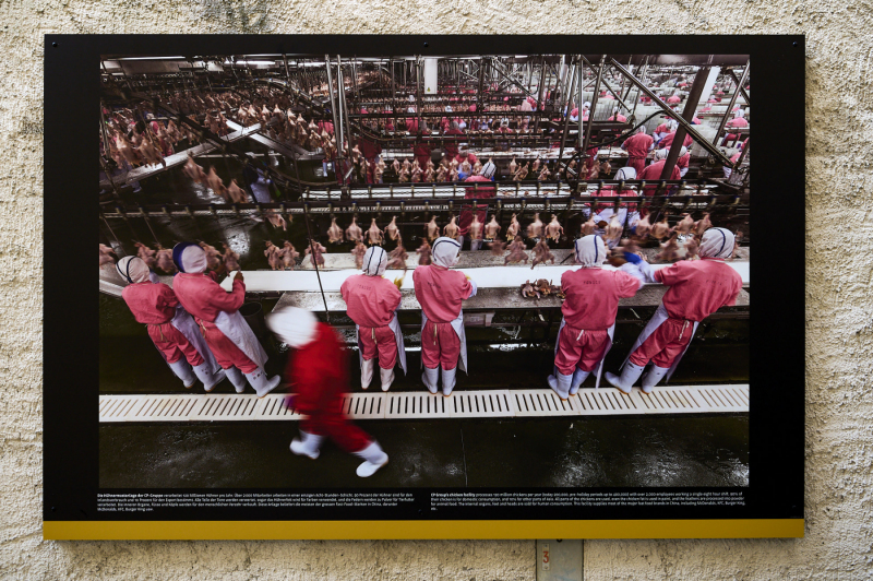 oye23_doku_ausstellung_george_steinmetz_20230910_097