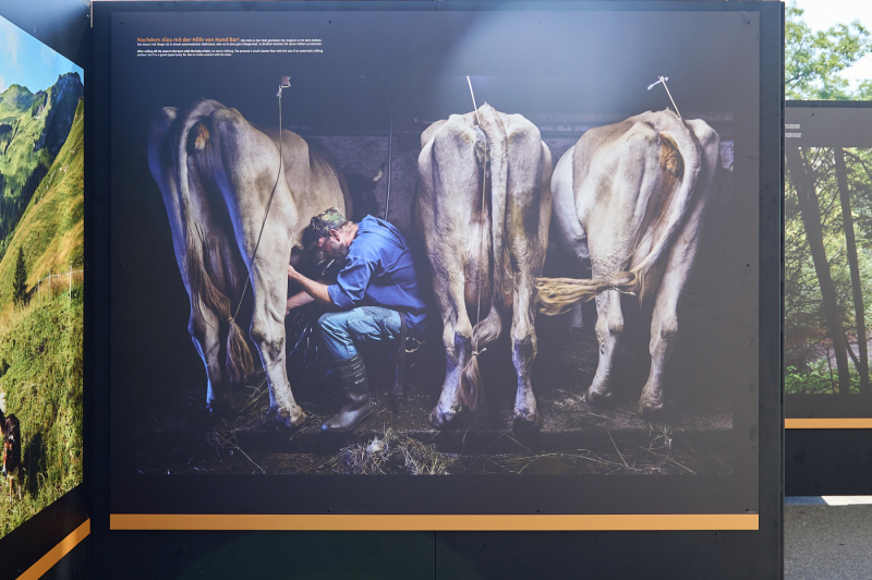 oye23_doku_ausstellung_dominic_nahr_20230910_154-1