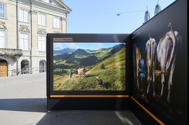 oye23_doku_ausstellung_dominic_nahr_20230910_155