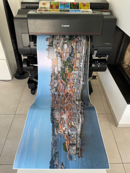 Druck_Wimmel-Panoramabild