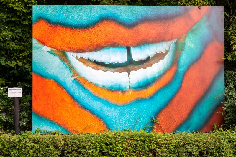 fpc442 – Diving around the world with Jennifer Hayes and David Doubilet (ENG)