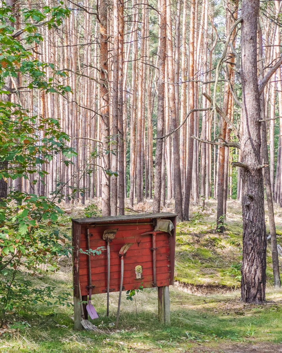 FPC454 - Geburtstag, zwei Seiten der KI und ein fleißiger Kompromiss 109 Fotopodcast Thomas Poehler: Brandenburg-Wes Anderson