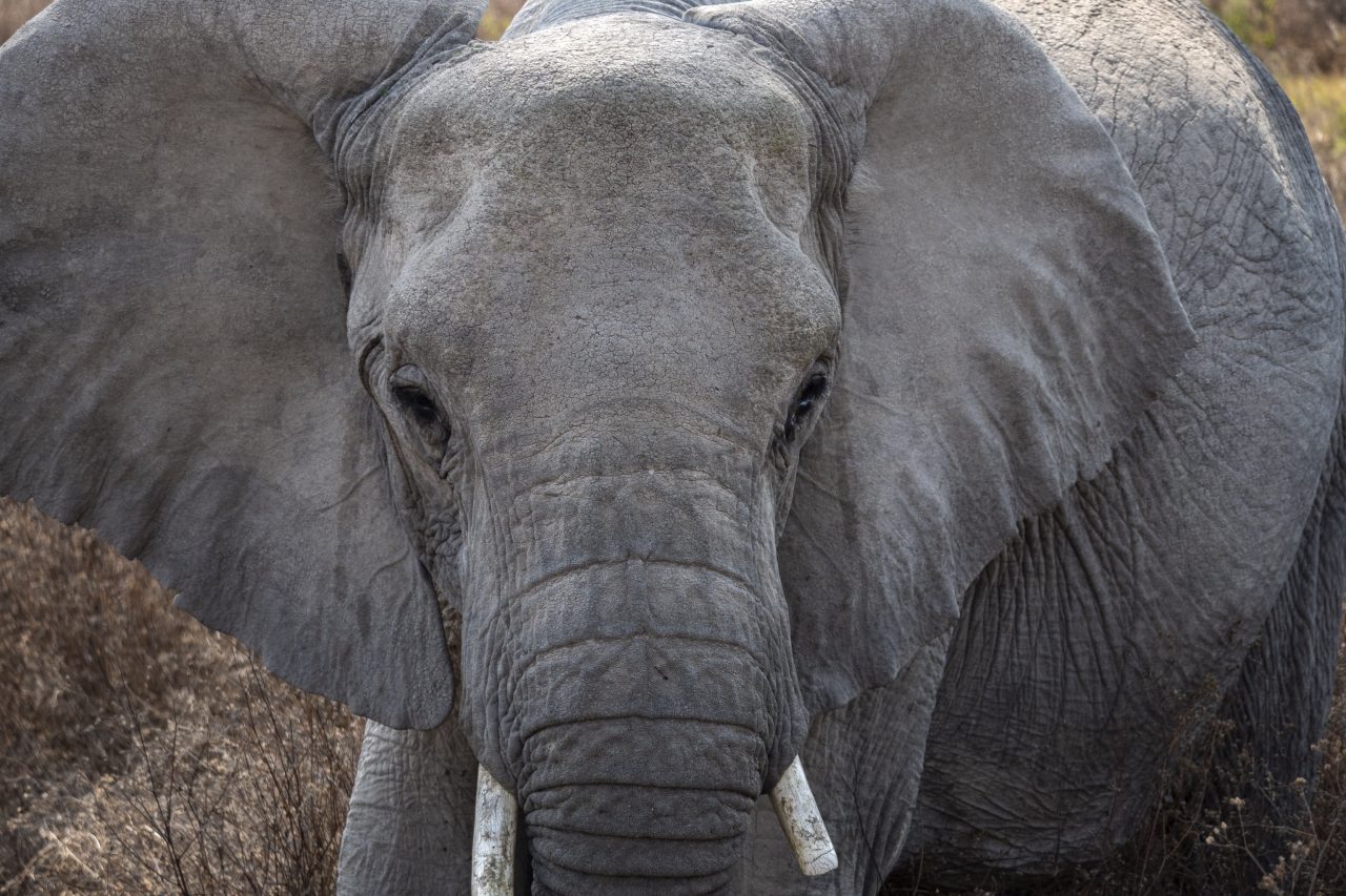 FPC461 - Im Gespräch mit Kameramann und Fotograf Aaron Moser auf dem Fotogipfel in Oberstdorf 10 Fotopodcast Aaron Moser 05