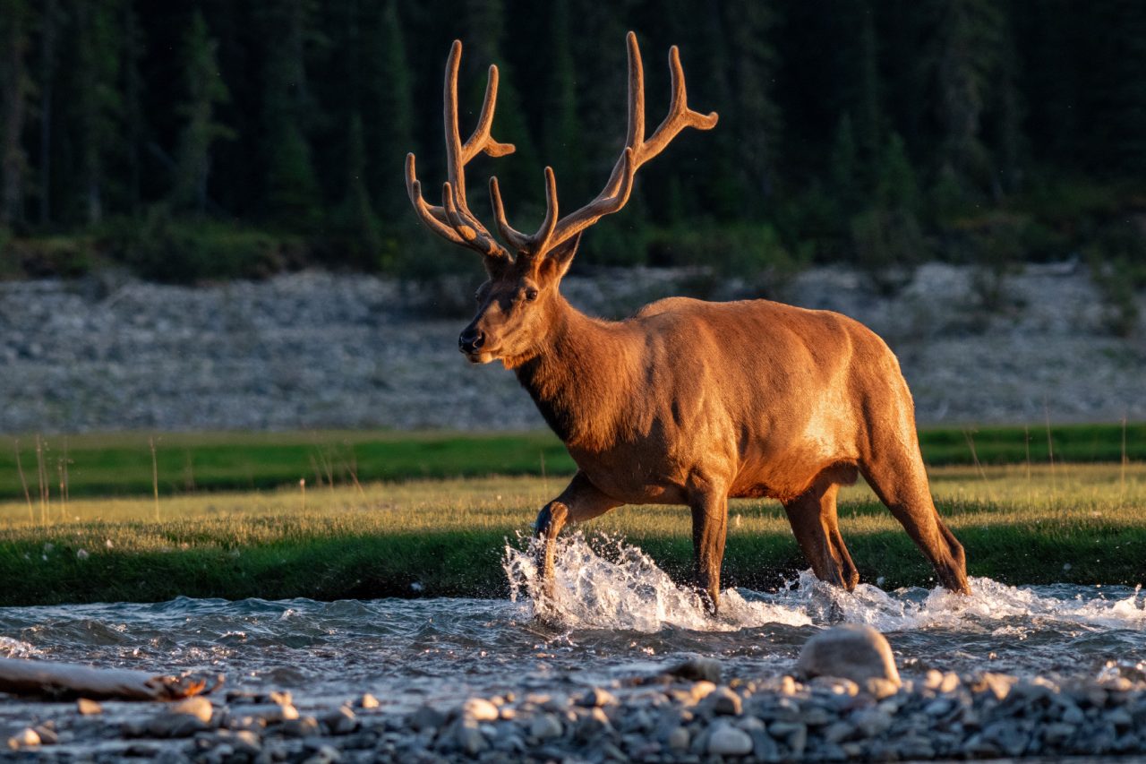 FPC461 - Im Gespräch mit Kameramann und Fotograf Aaron Moser auf dem Fotogipfel in Oberstdorf 8 Fotopodcast Aaron Moser 07