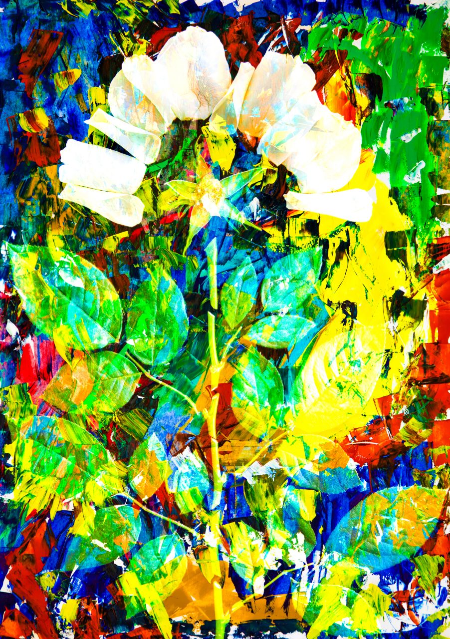 Hauptprojekt Jutta Kuster 2