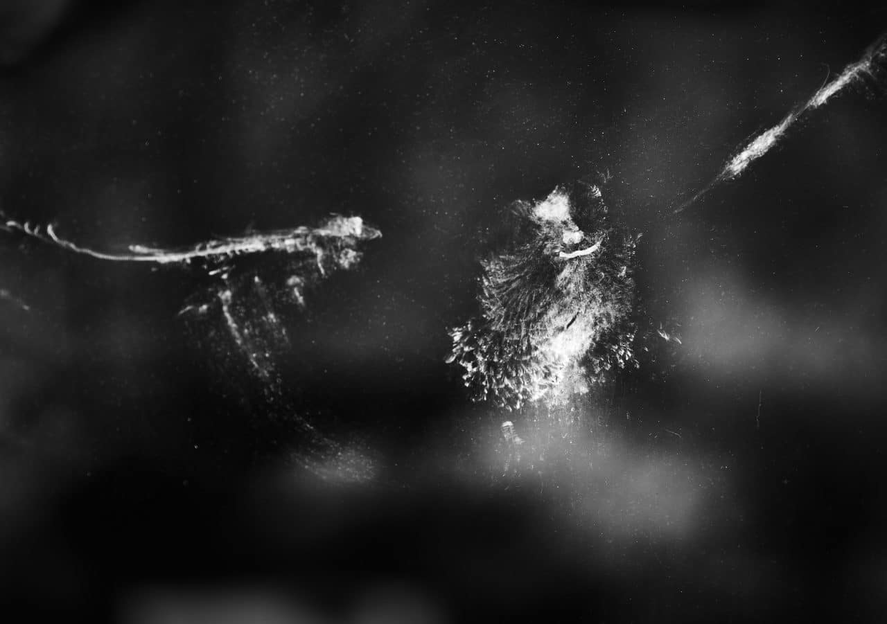 Austellungsbilder von Dr. Michael Siemann