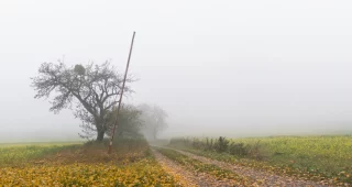 FPC462 – Prachtvolle Infos, besinnlicher Spaß und festliche Fotoweisheiten