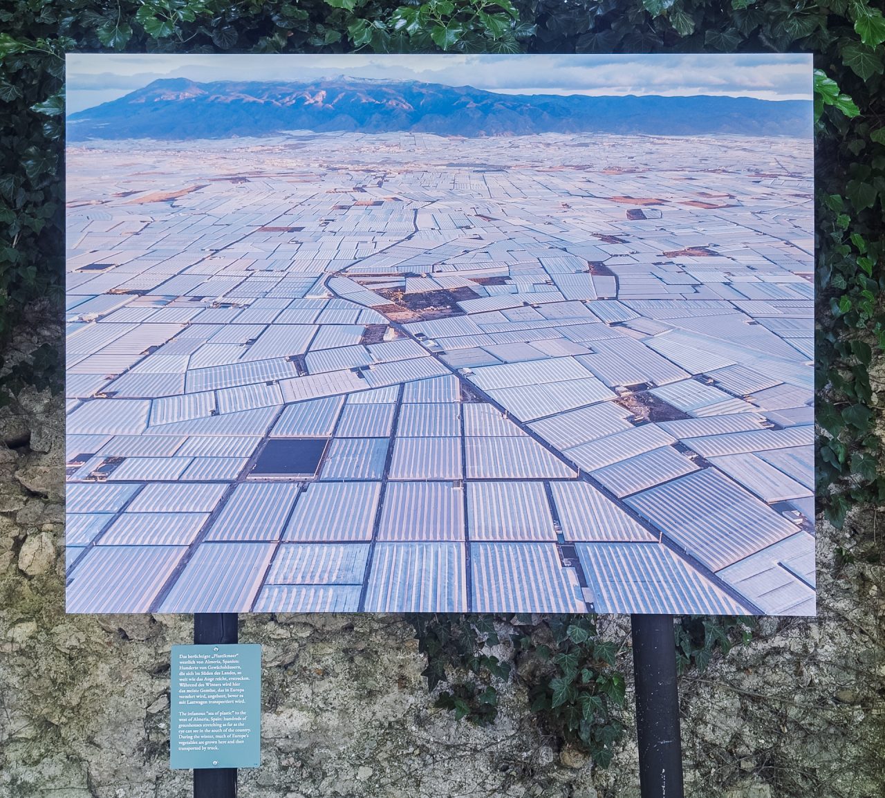 gsteinmetz baden25 004 641