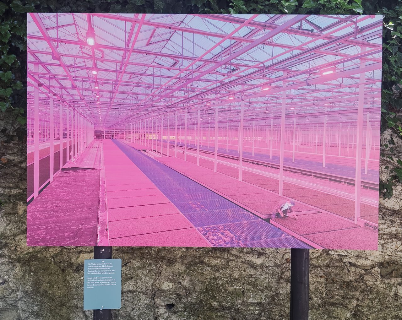 gsteinmetz baden25 005 642