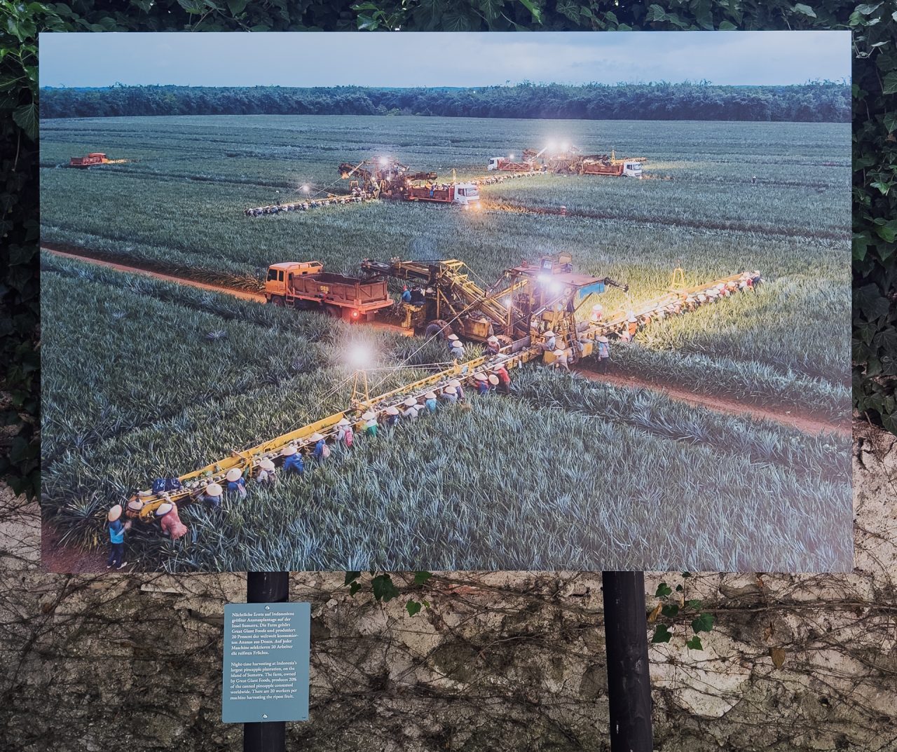 gsteinmetz baden25 006 643