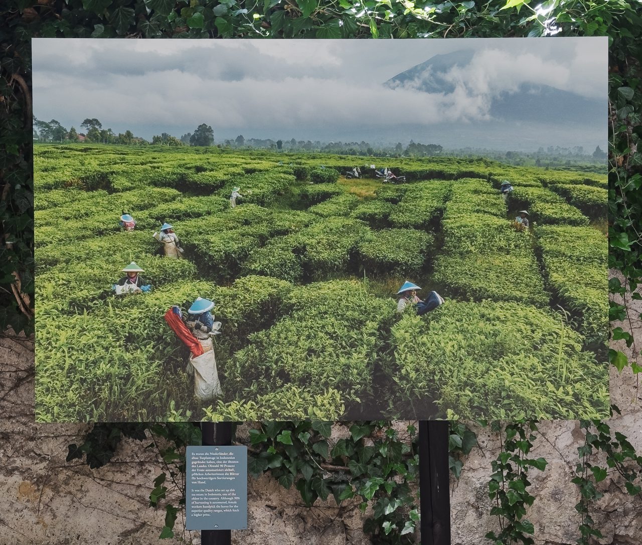 gsteinmetz baden25 009 646