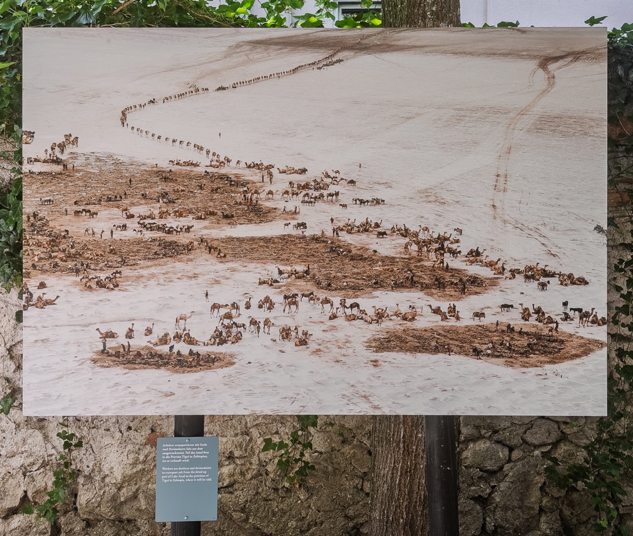 gsteinmetz baden25 010 650