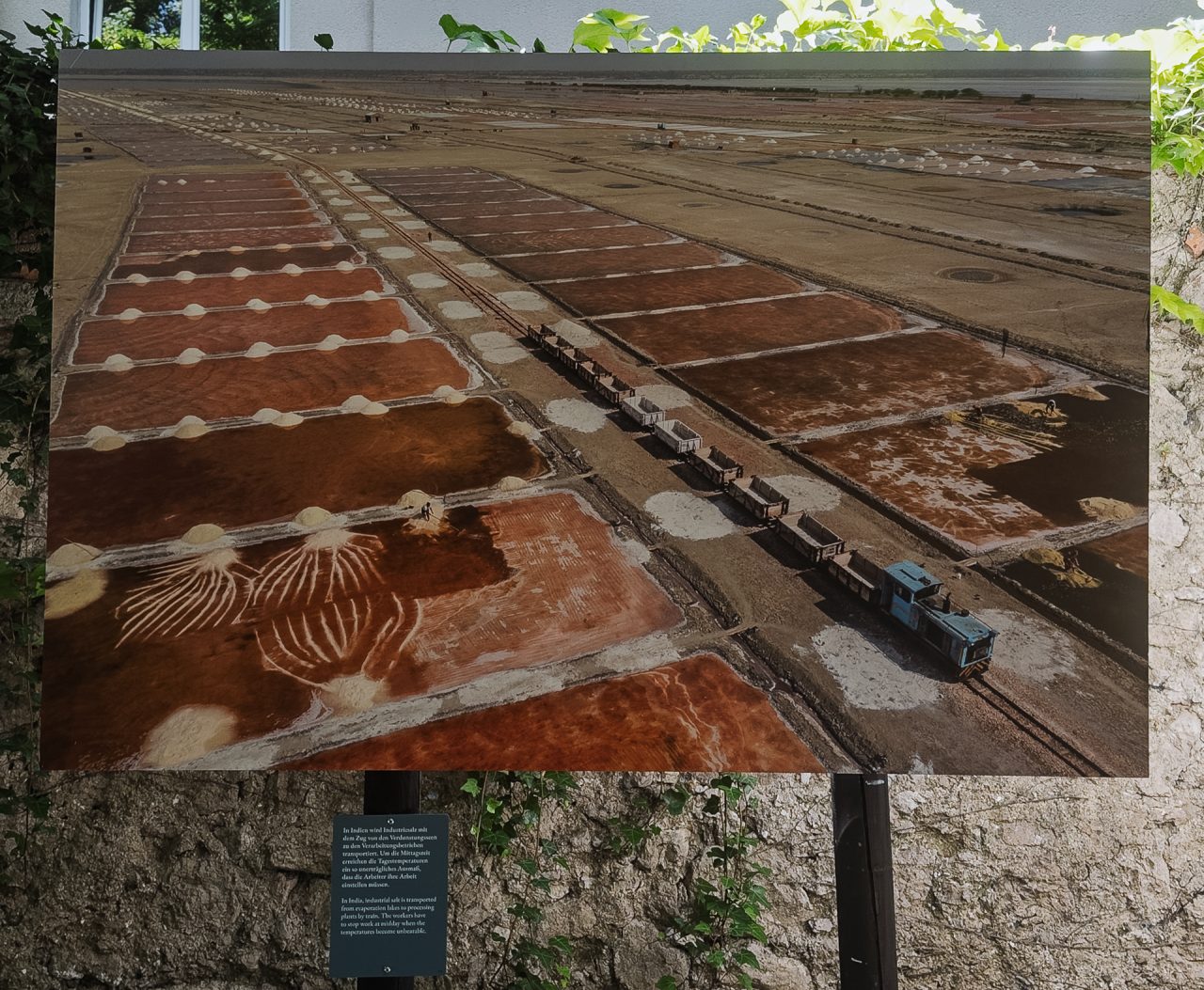 gsteinmetz baden25 012 652