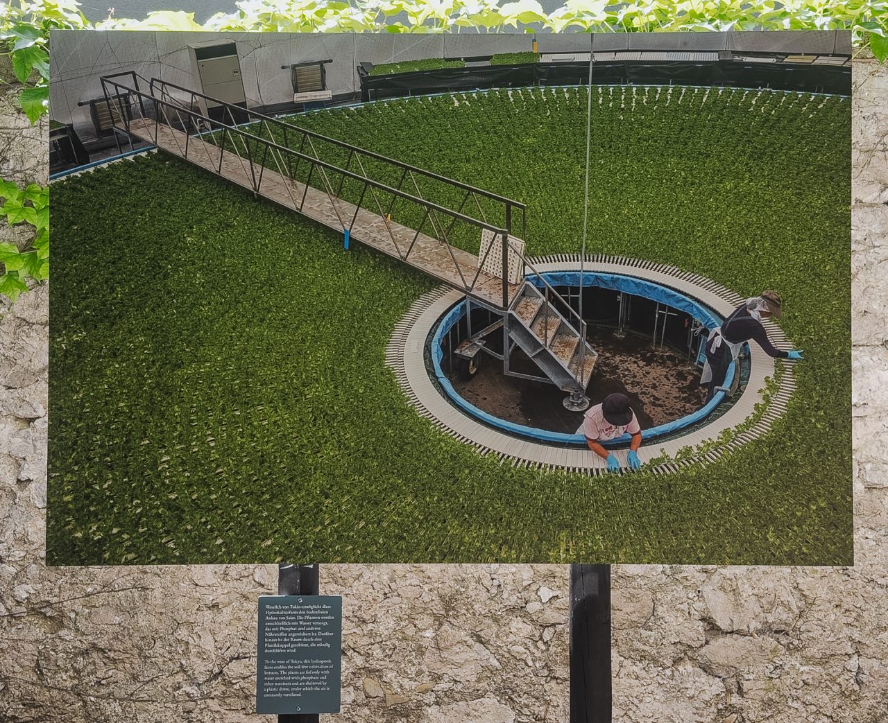 gsteinmetz baden25 013 653