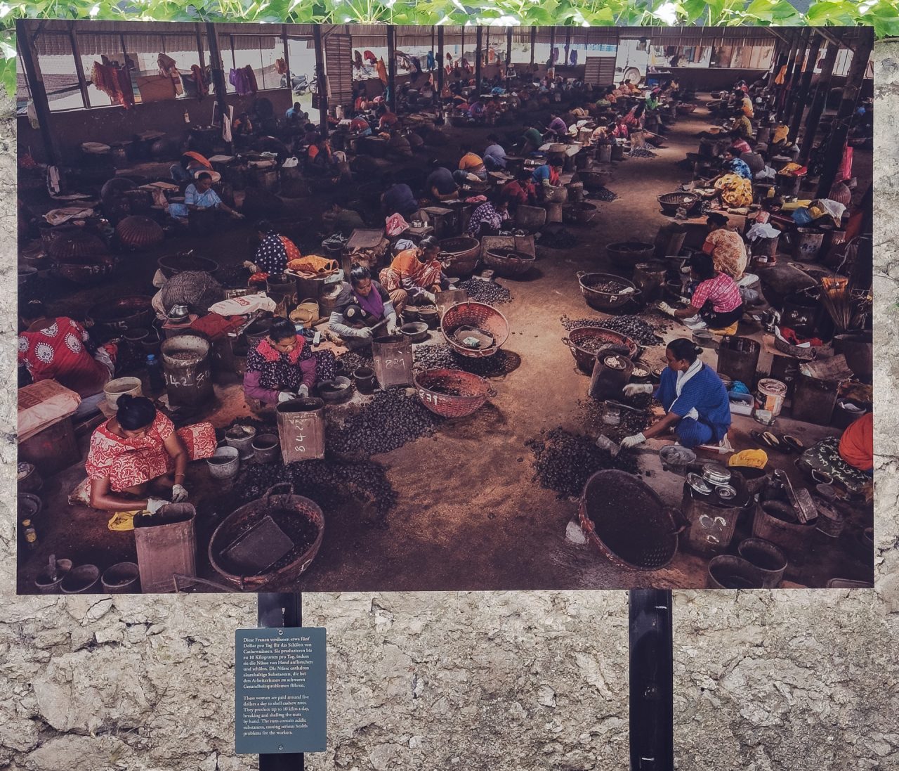 gsteinmetz baden25 014 654