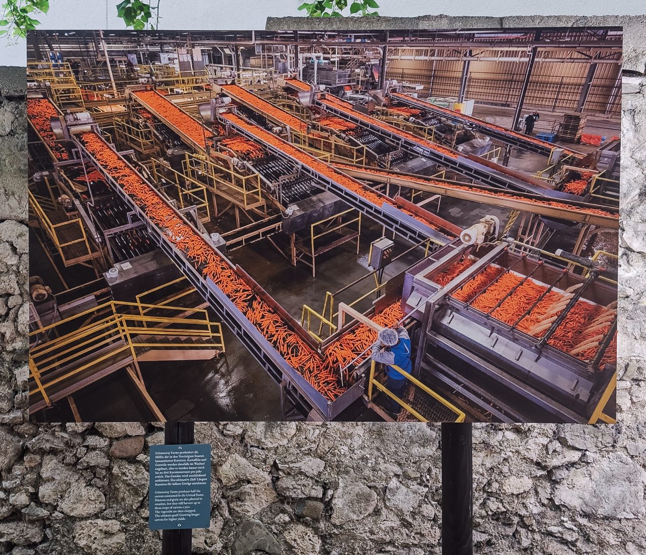 gsteinmetz baden25 017 658