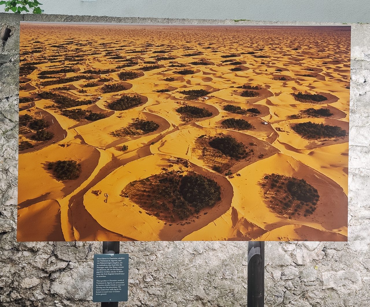 gsteinmetz baden25 018 659