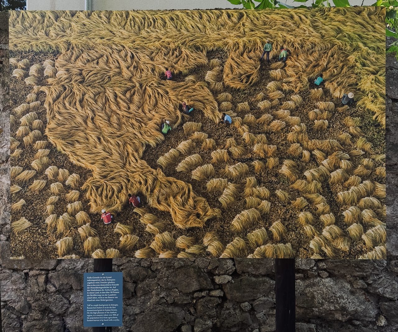 gsteinmetz baden25 023 664