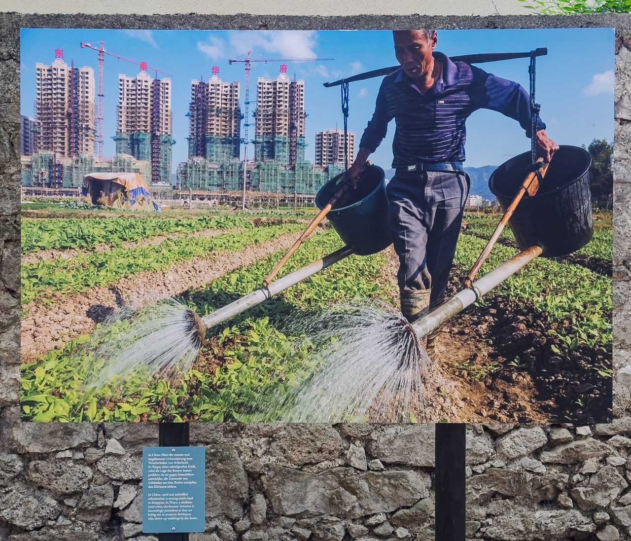 gsteinmetz baden25 024 667