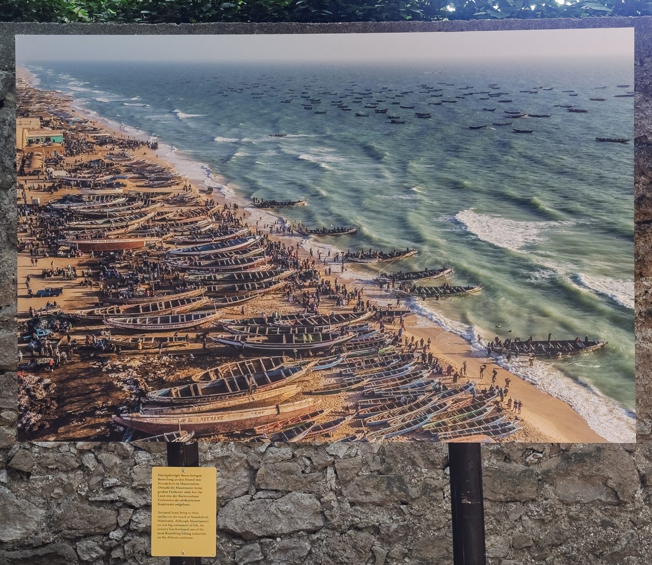 gsteinmetz baden25 025 669