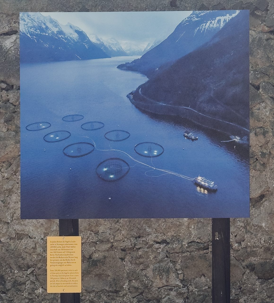 gsteinmetz baden25 026 671