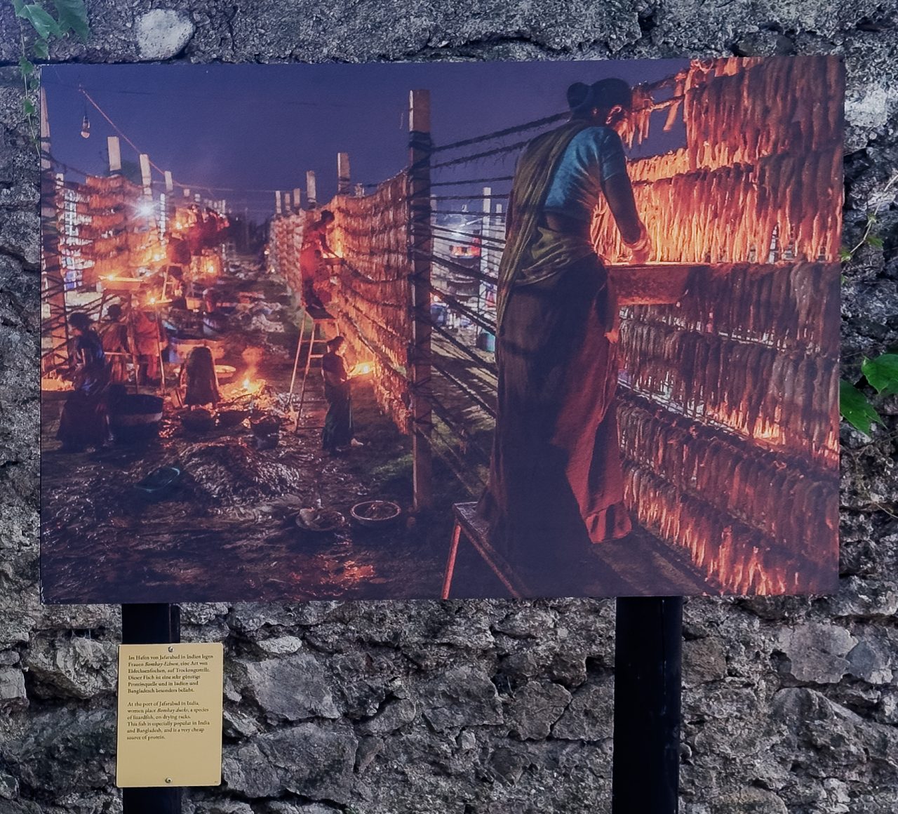 gsteinmetz baden25 028 675