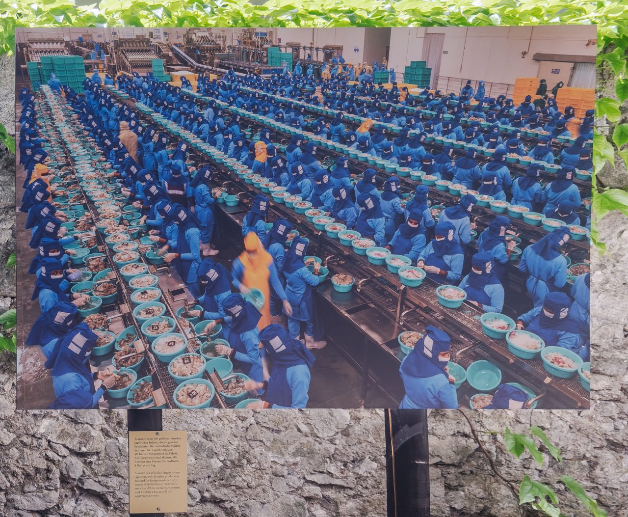 gsteinmetz baden25 030 678