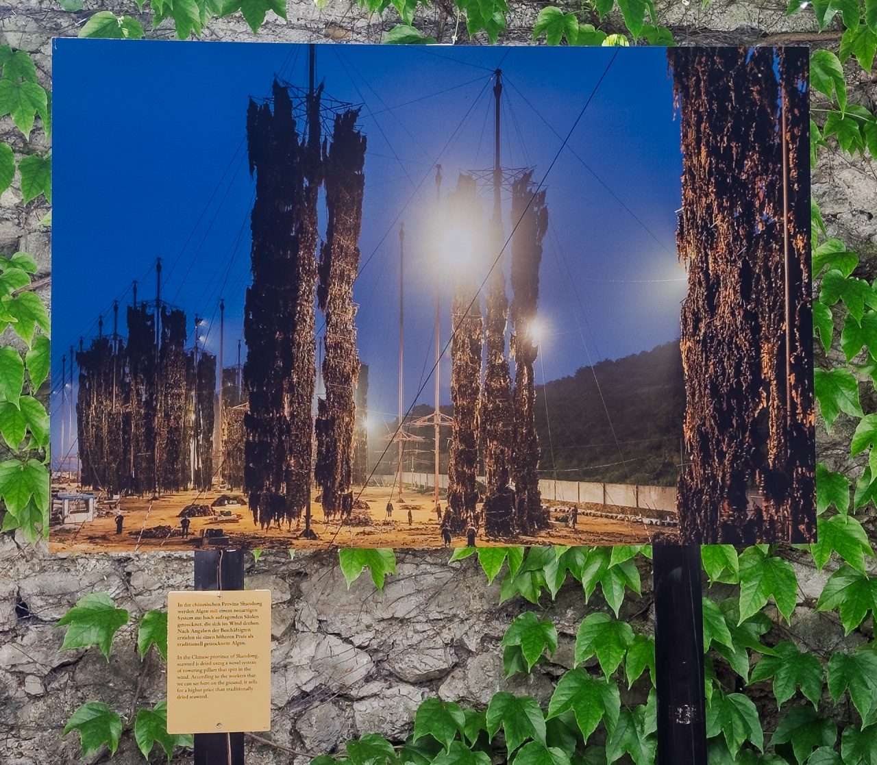 gsteinmetz baden25 032 681