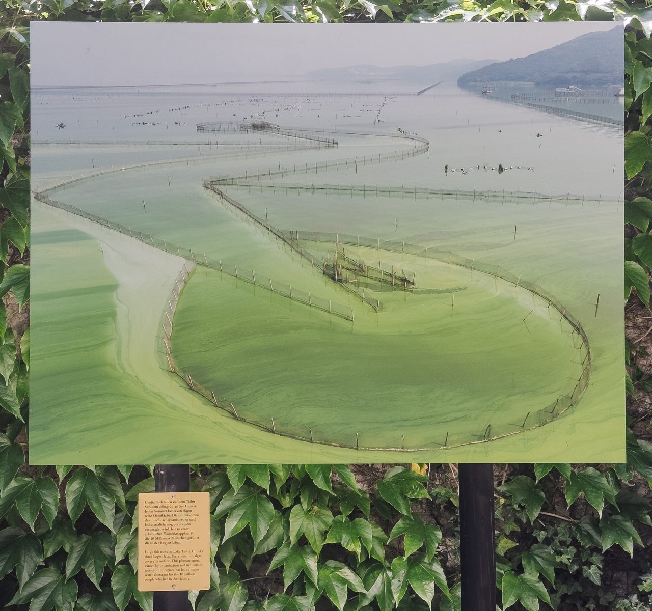 gsteinmetz baden25 035 684