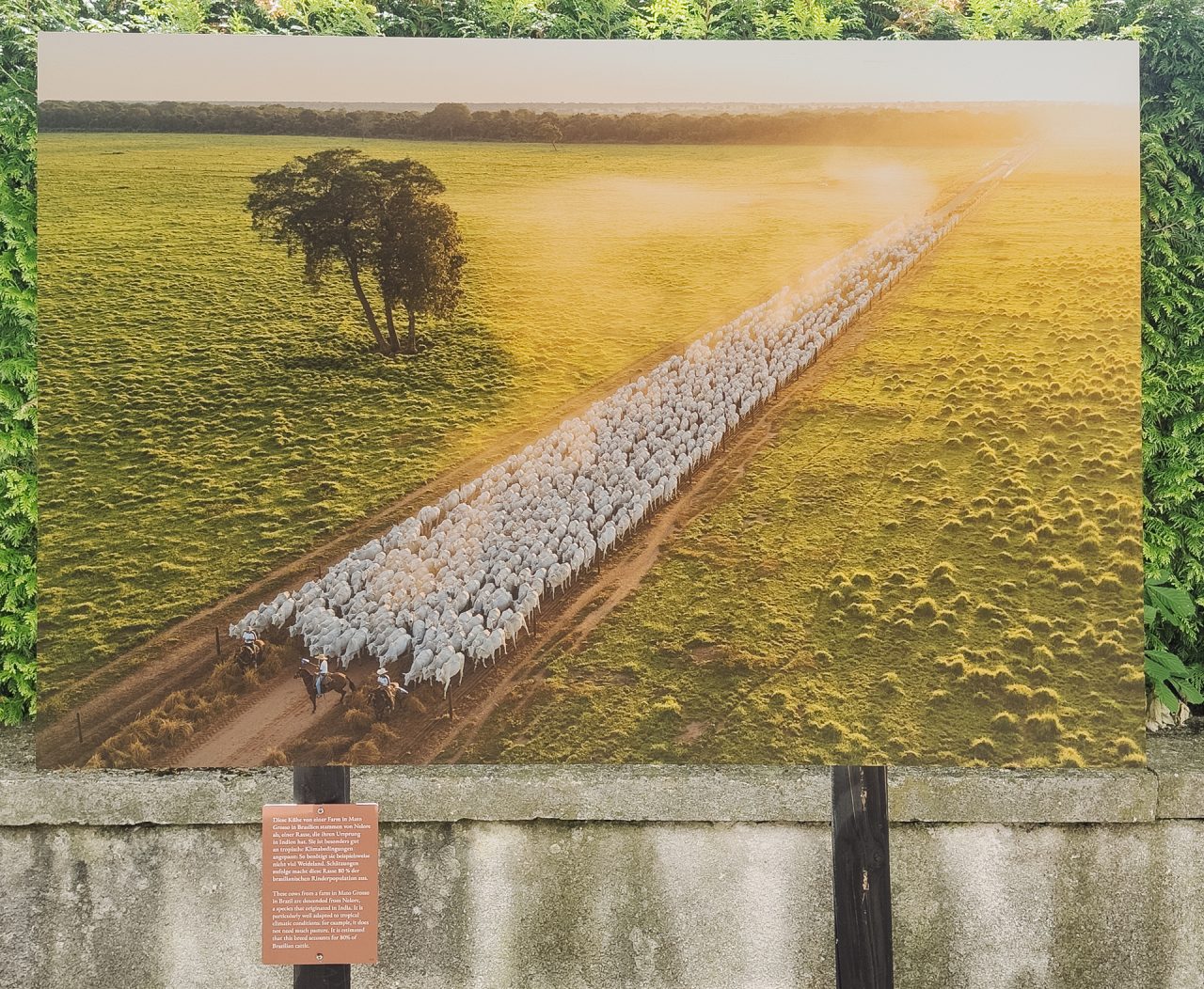 gsteinmetz baden25 040 695