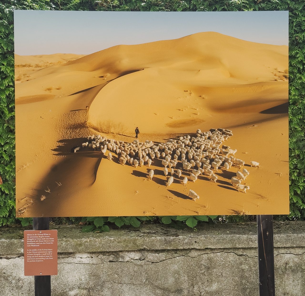 gsteinmetz baden25 042 698