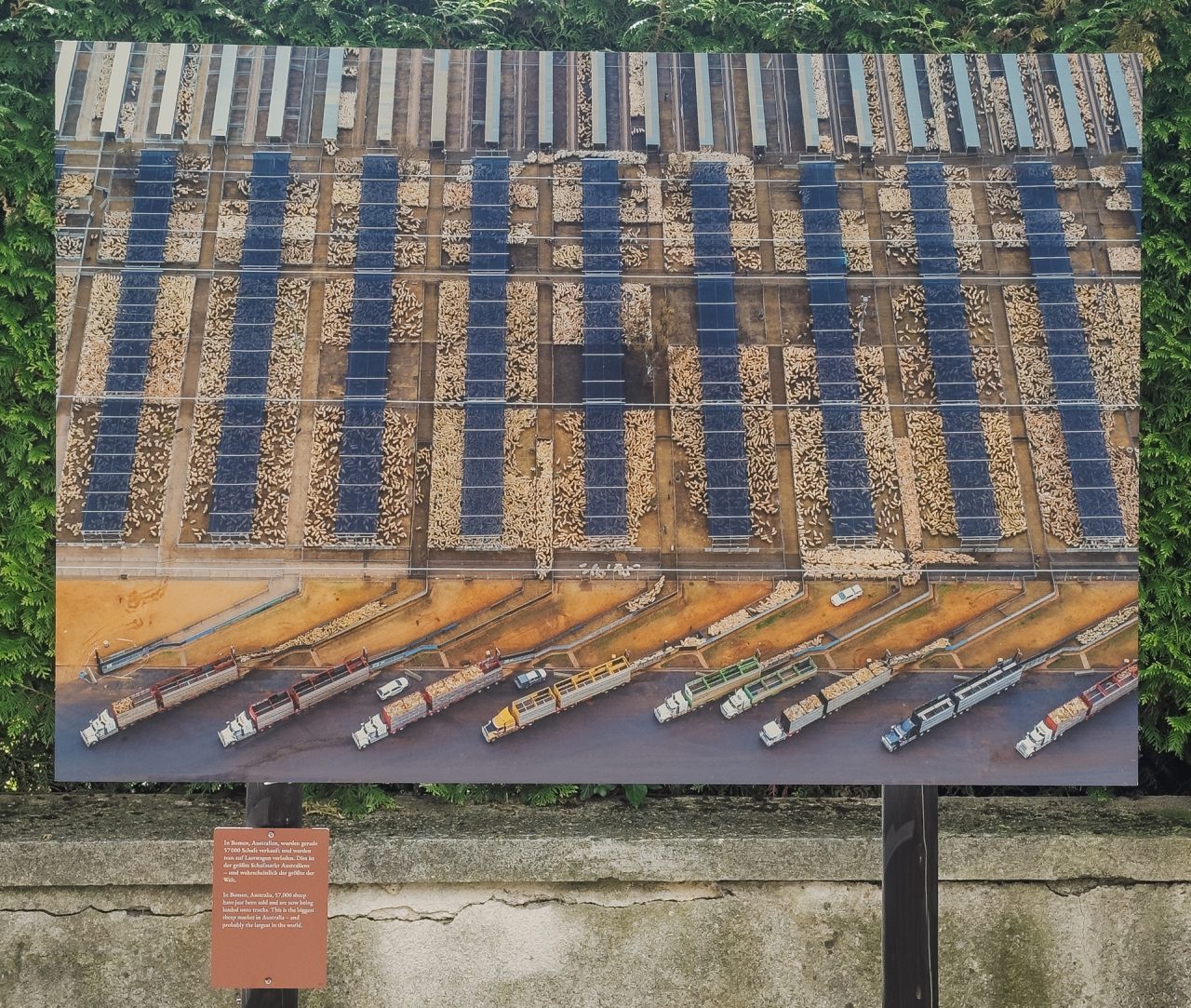 gsteinmetz baden25 043 699