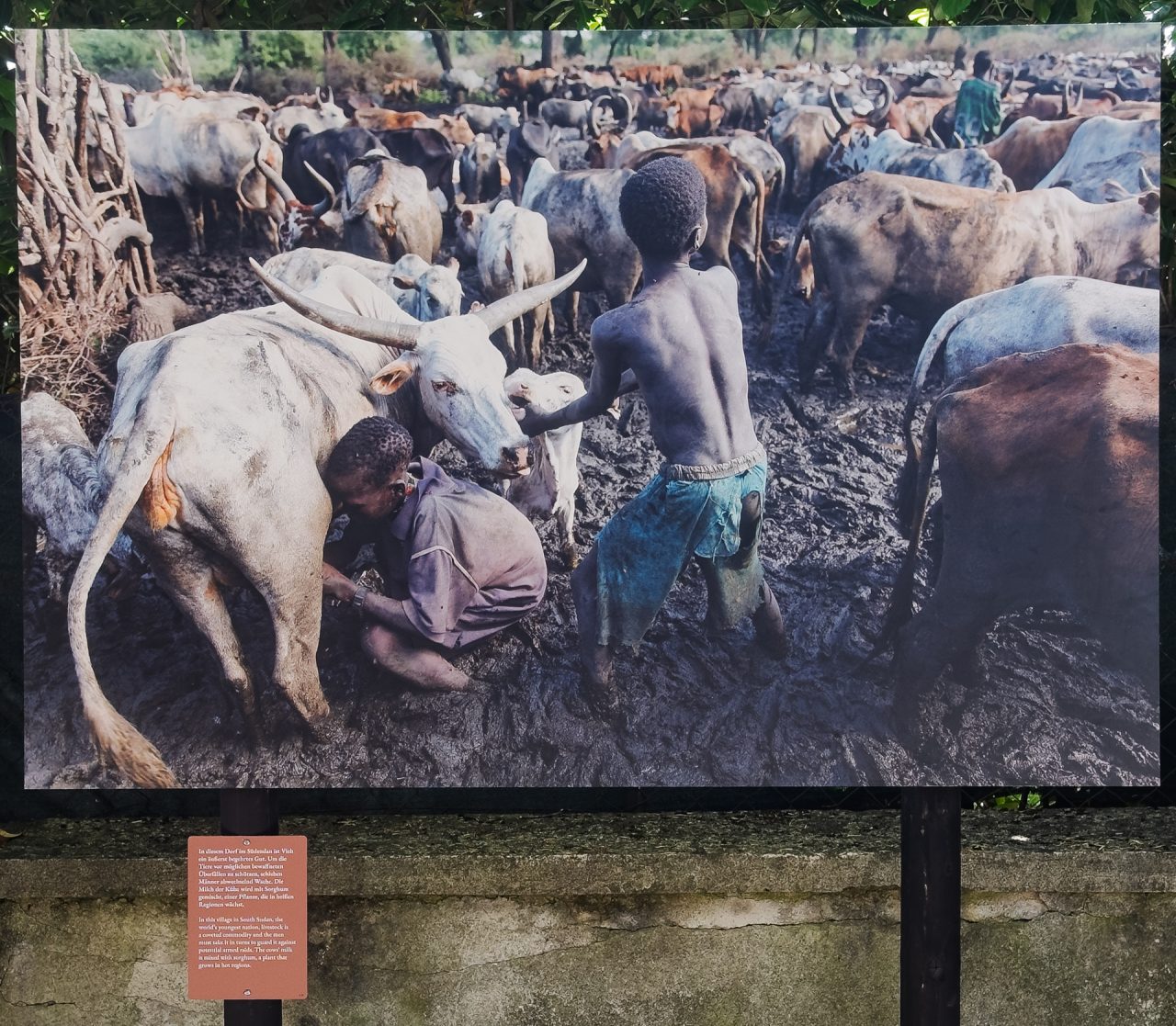 gsteinmetz baden25 048 707