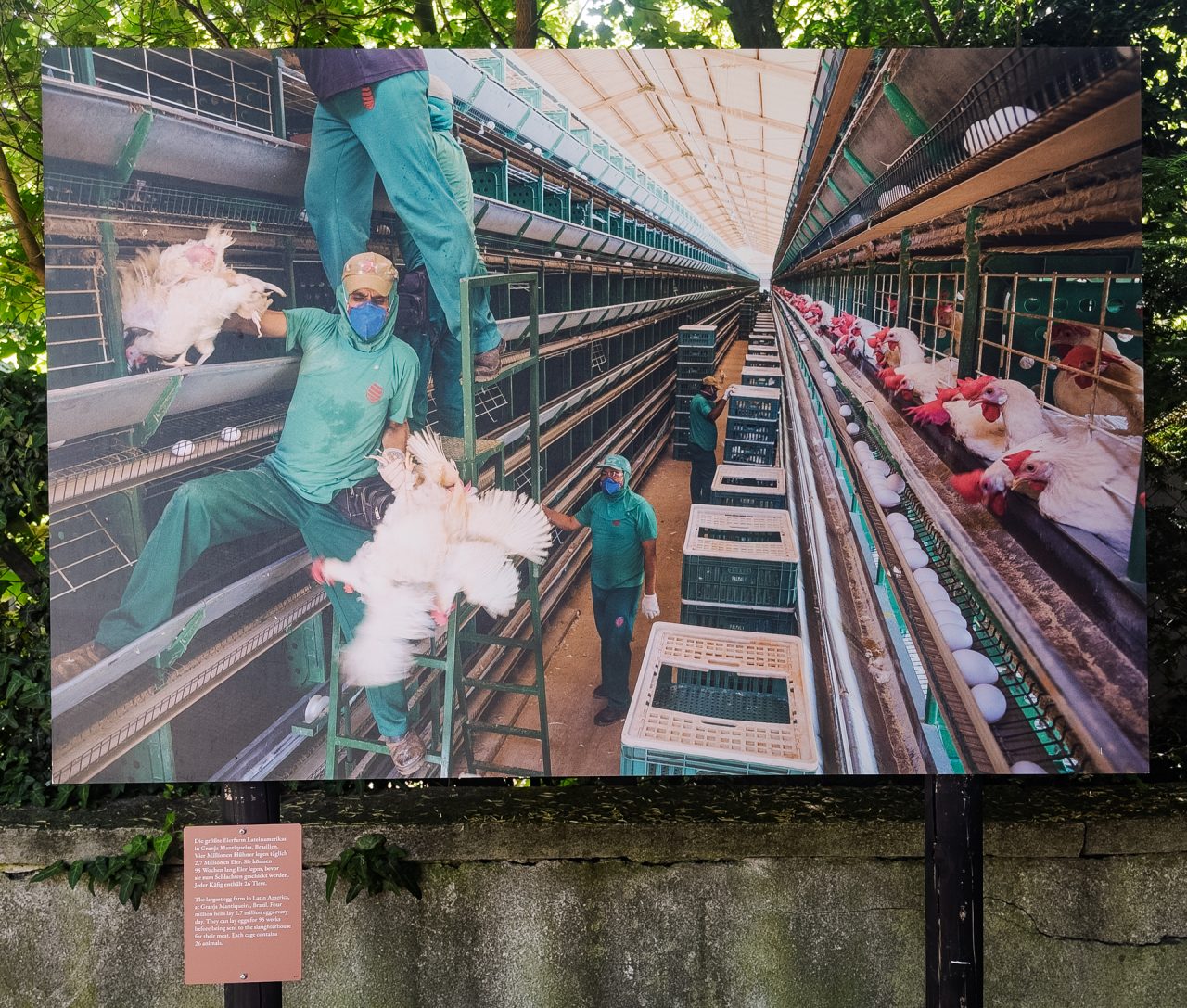 gsteinmetz baden25 049 708