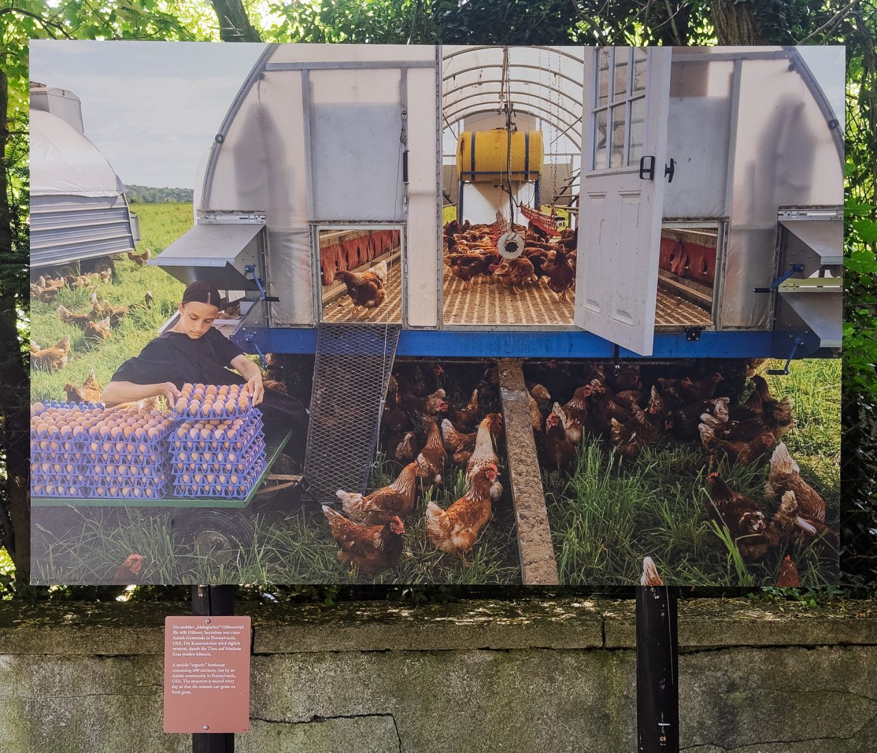 gsteinmetz baden25 050 709