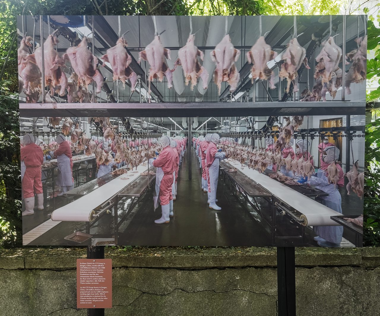 gsteinmetz baden25 051 710